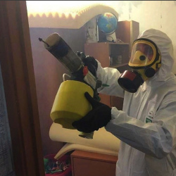Уничтожение клопов в квартире. Юрюзань